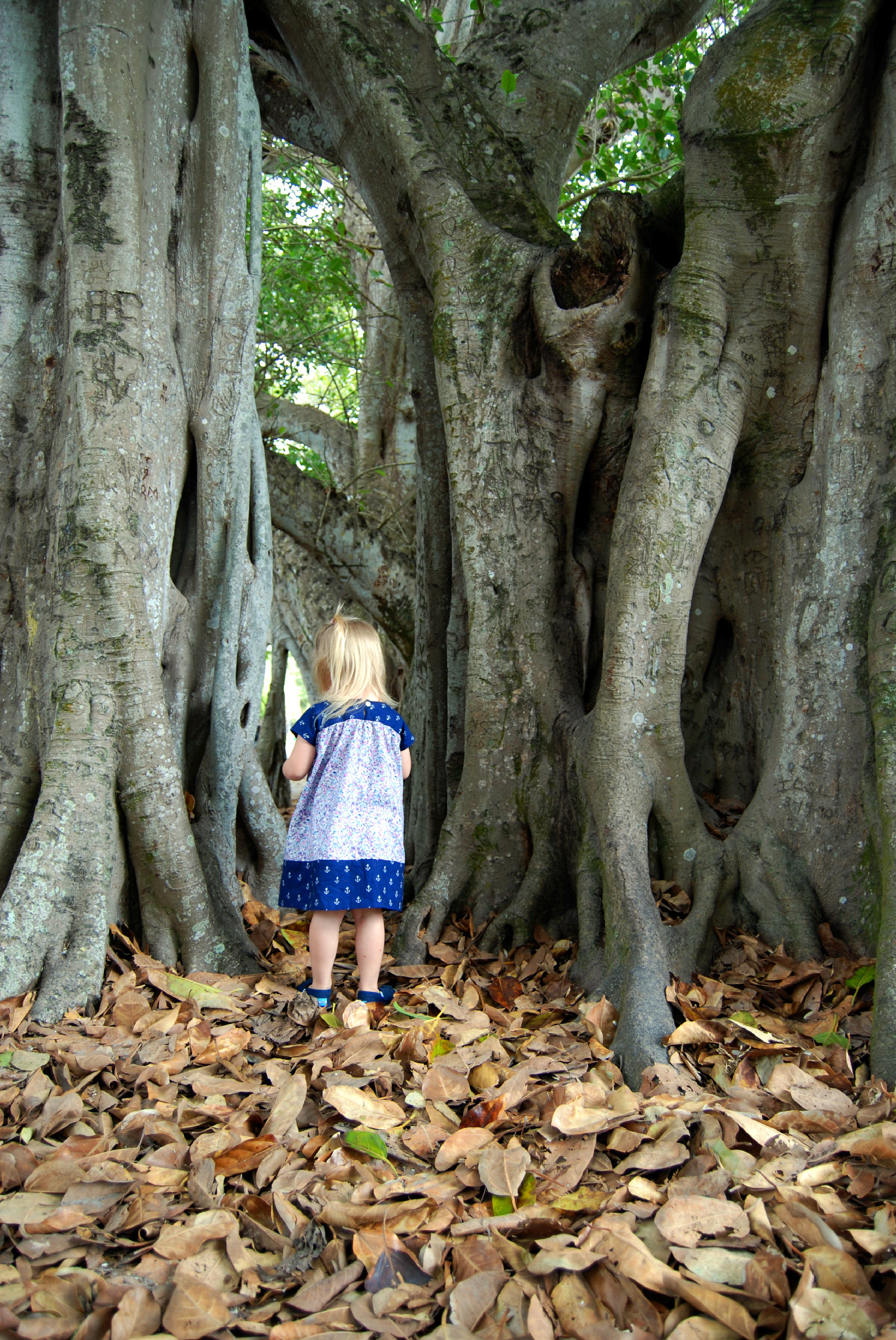 Ice Cream Dress back