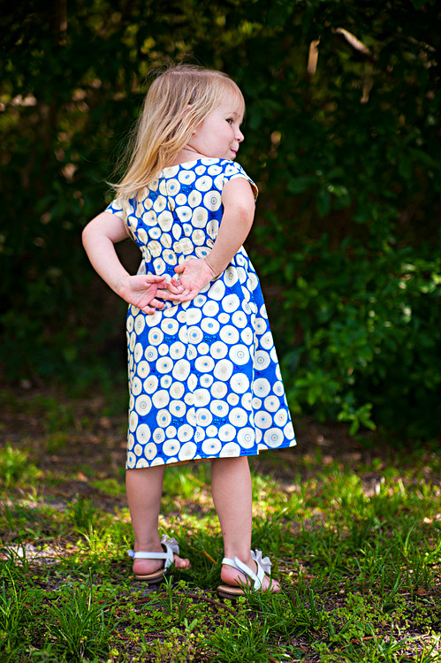 Reversible Roller Skate Dress Side 1 back