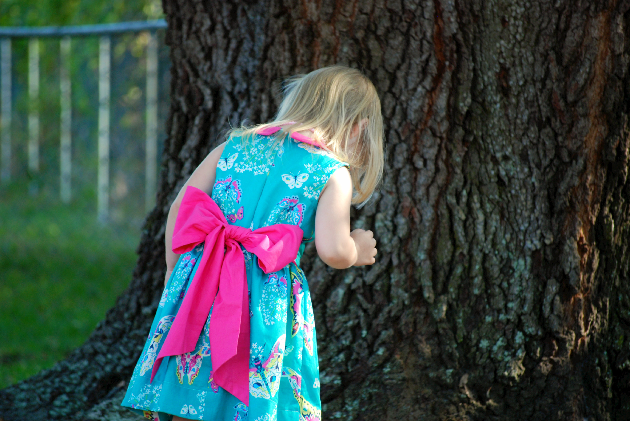 Fairy Tale Dress Back