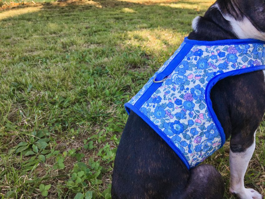 Free DIY Dog harness tutorial
