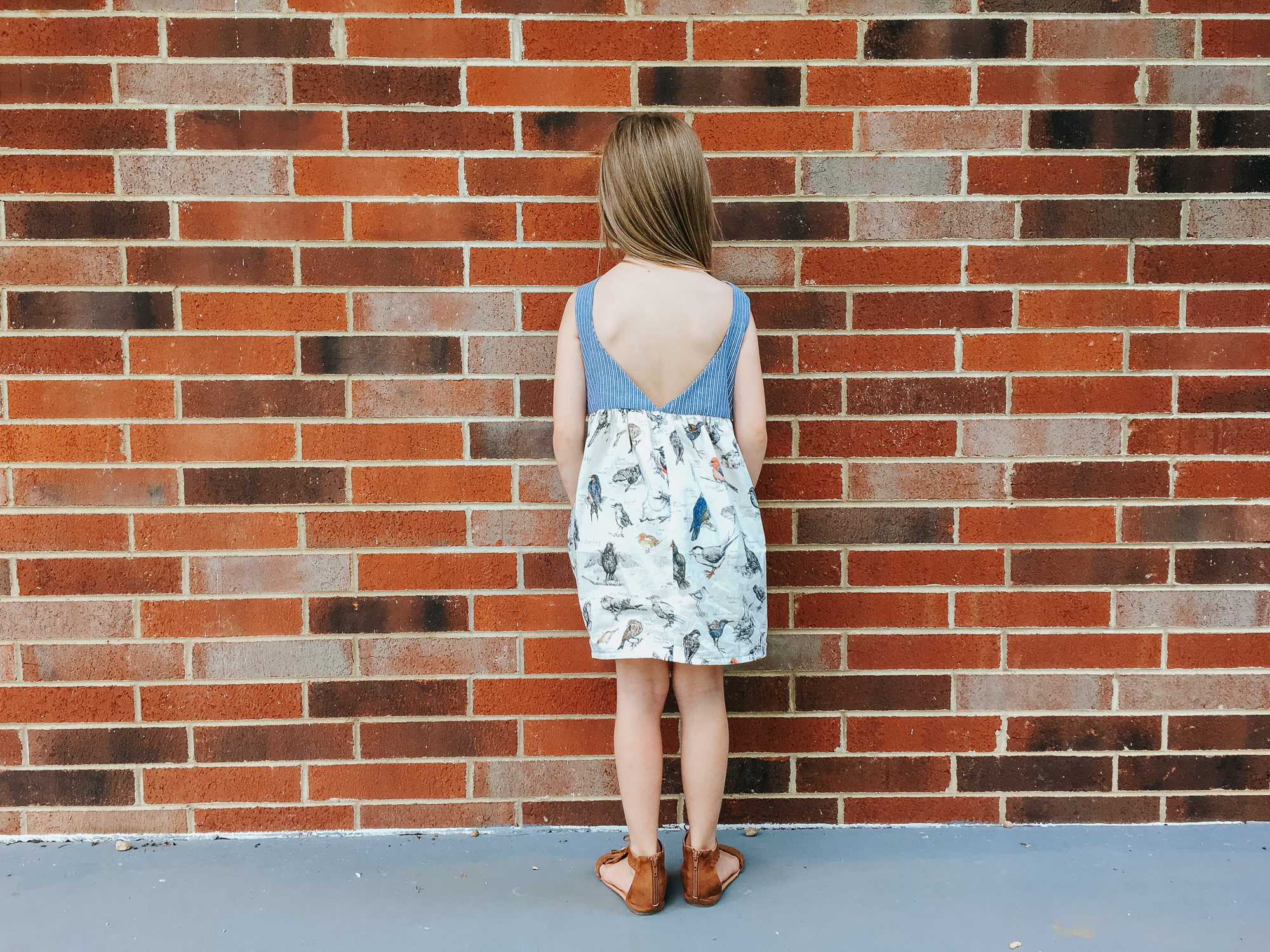 ornithology Liberty lawn and chambray dress