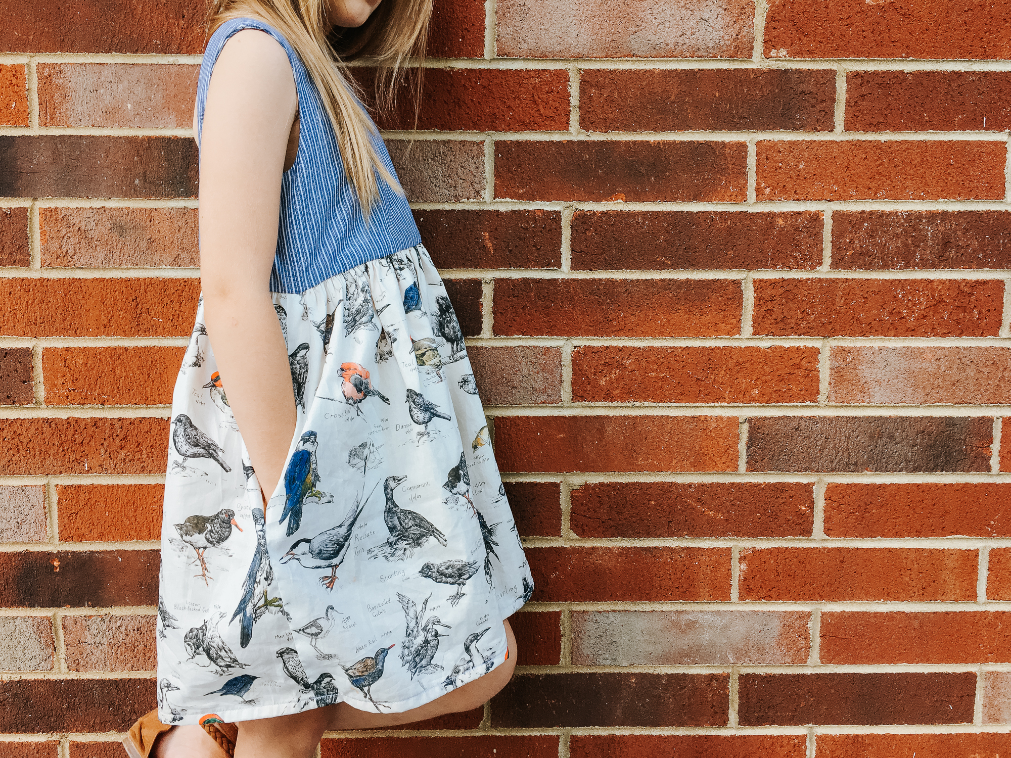 ornithology Liberty lawn and chambray dress