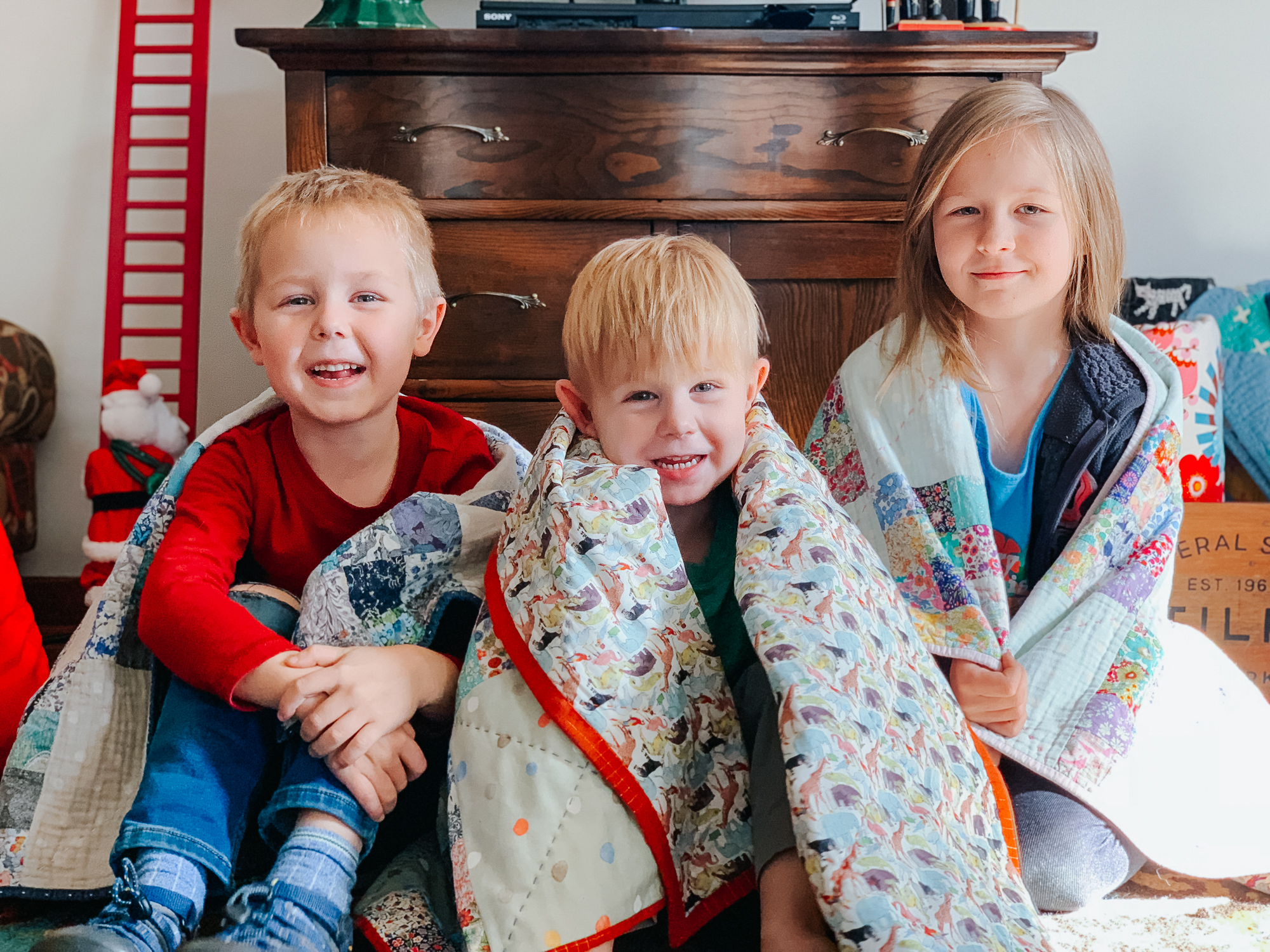 queue for the zoo 16 patch liberty quilt