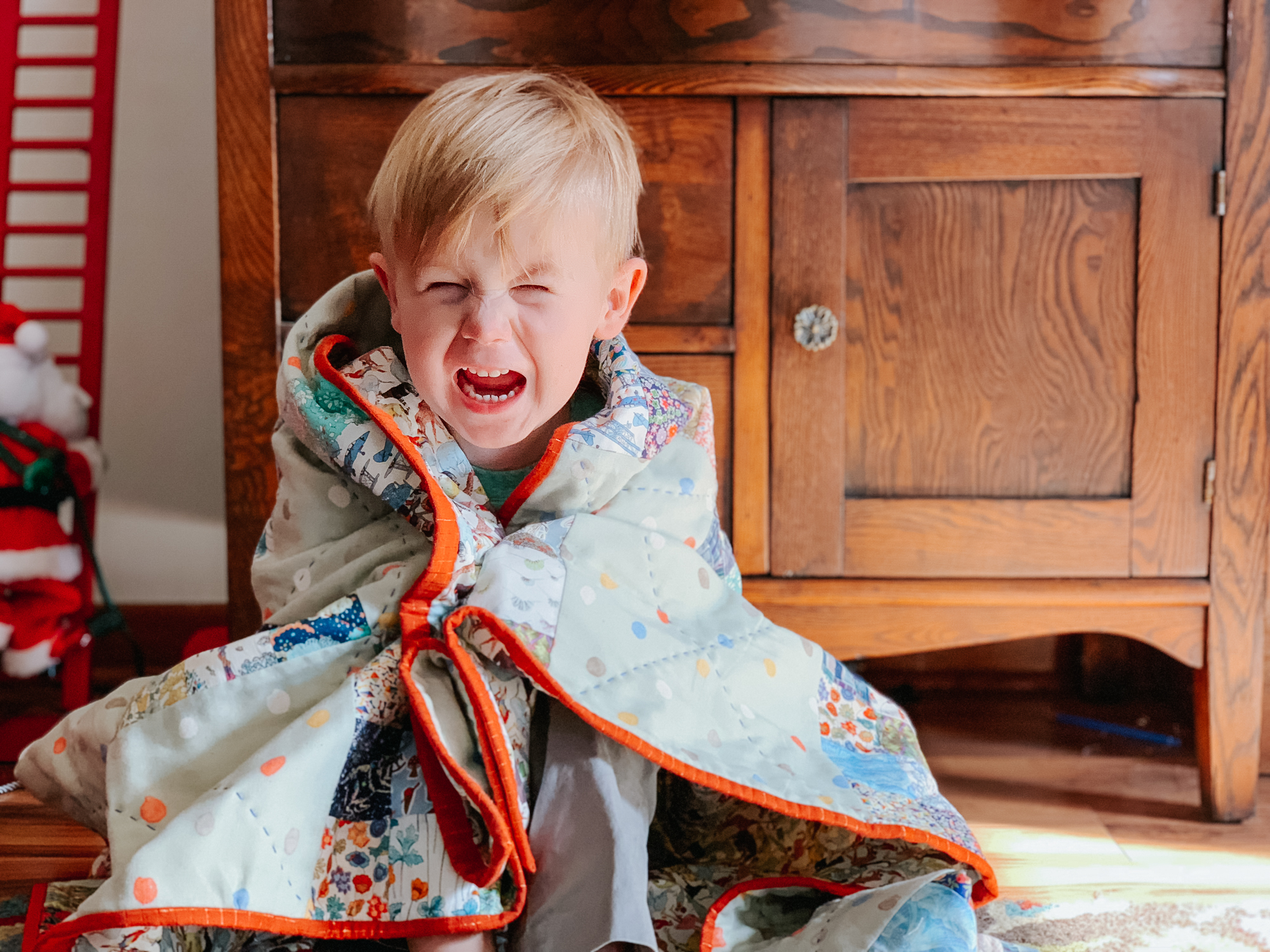 queue for the zoo 16 patch liberty quilt