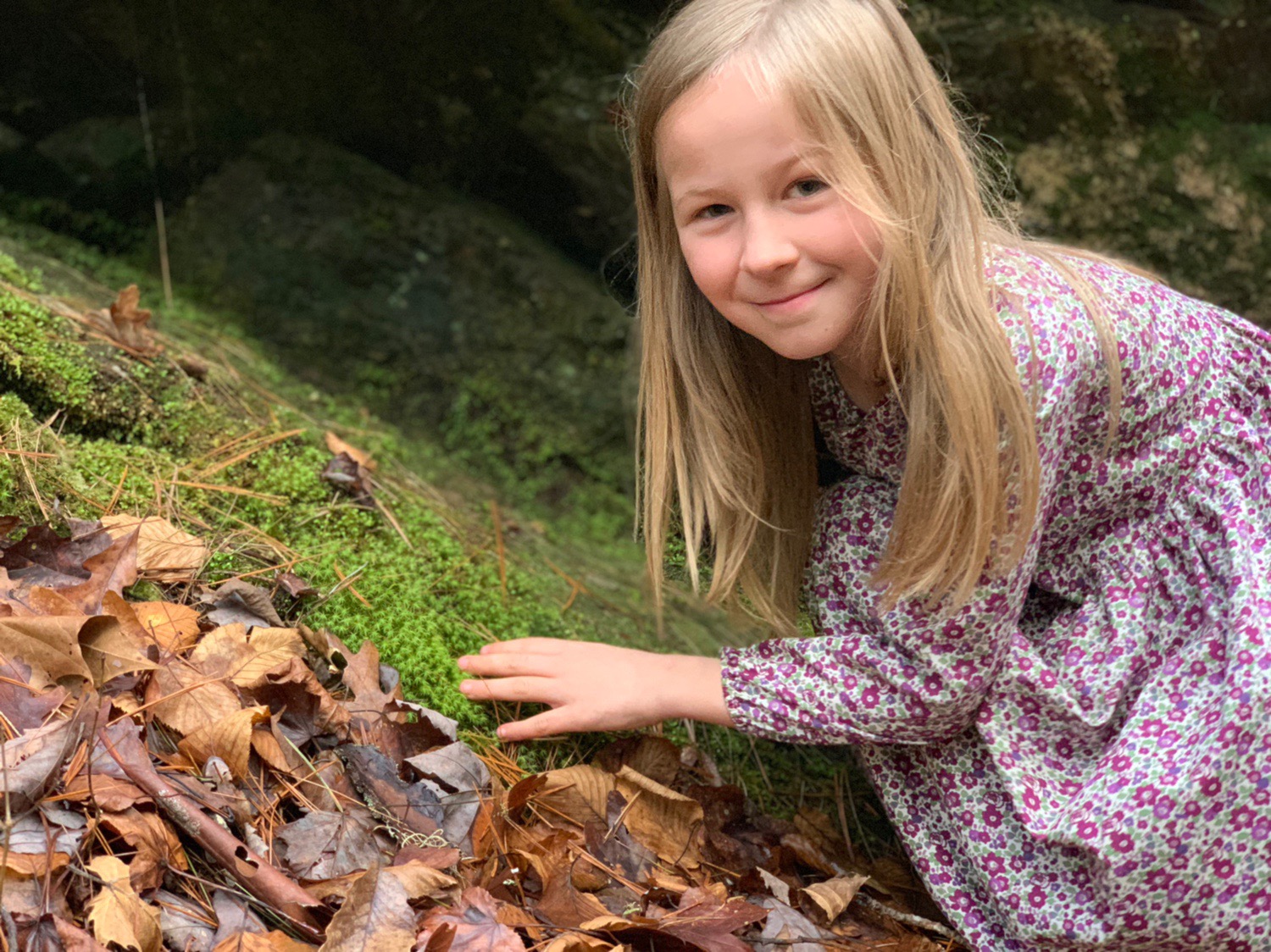 winter floral liberty dress