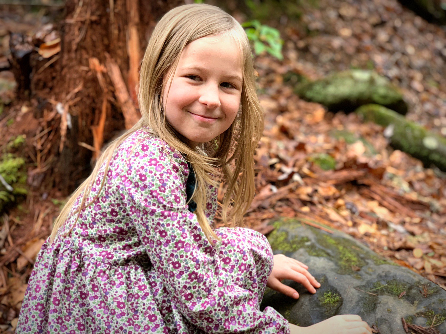 winter floral liberty dress