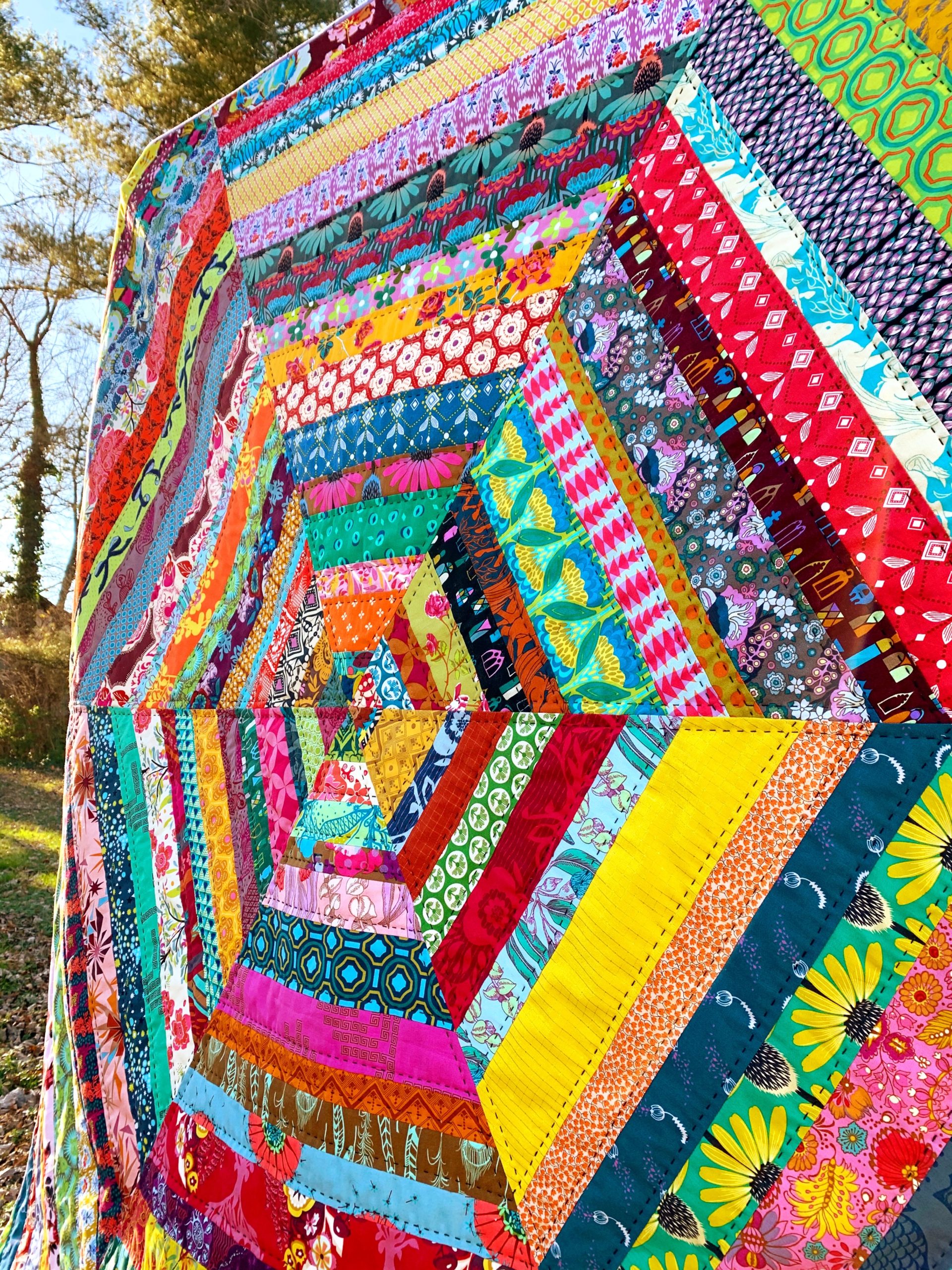 Anna Maria Horner Hex Strip Quilt 