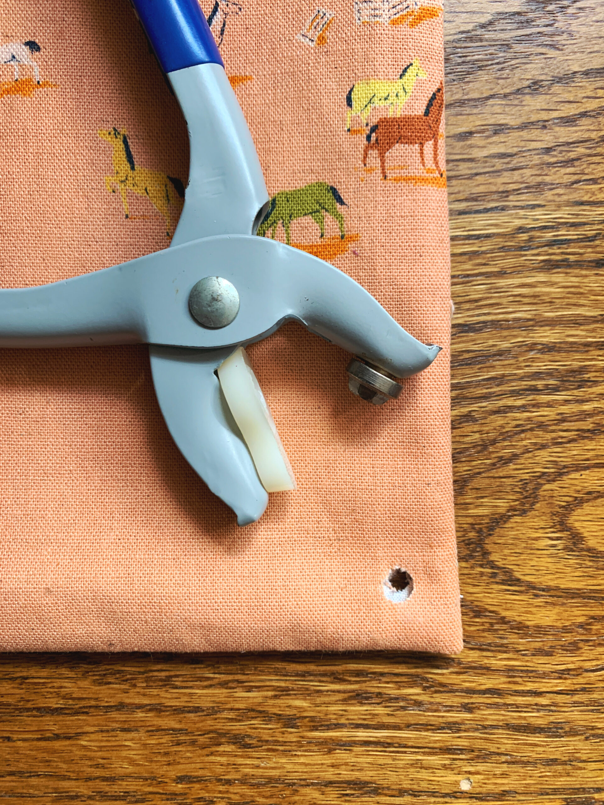 Drawstring Backpack Free Project for Janome